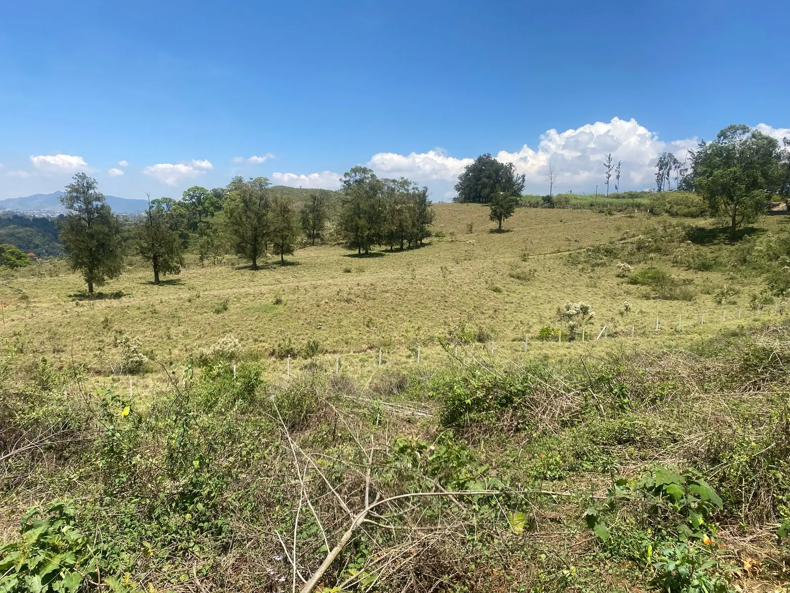 Paisaje Finca Vista